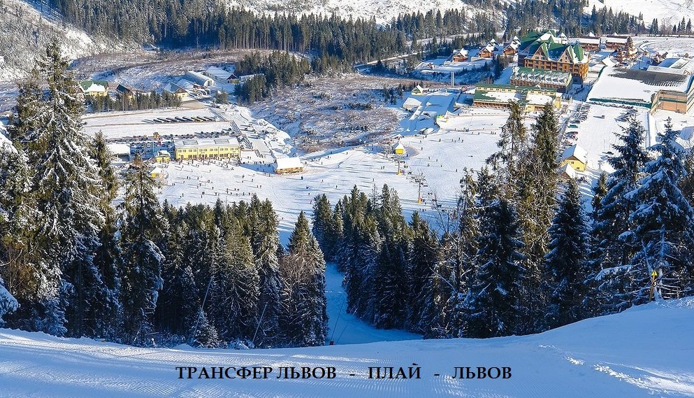 Такси Львов Плай