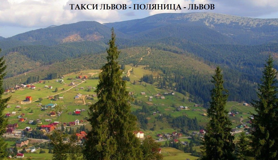 Такси Львов – Поляница