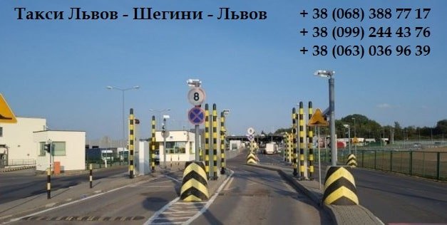 Такси Львов – Шегини